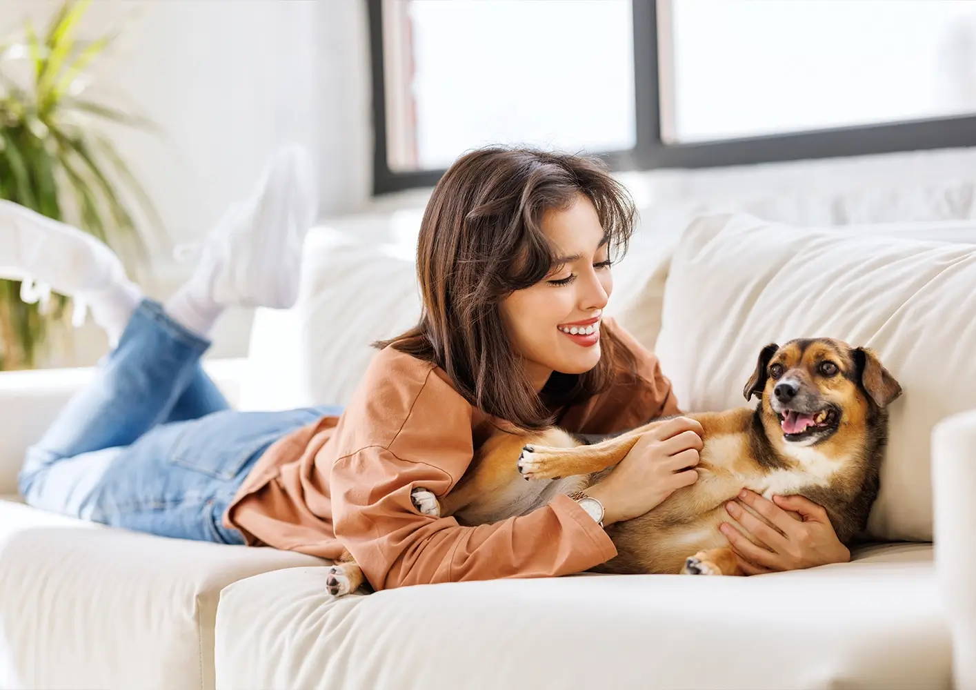 How to handle your new dog's first night at home