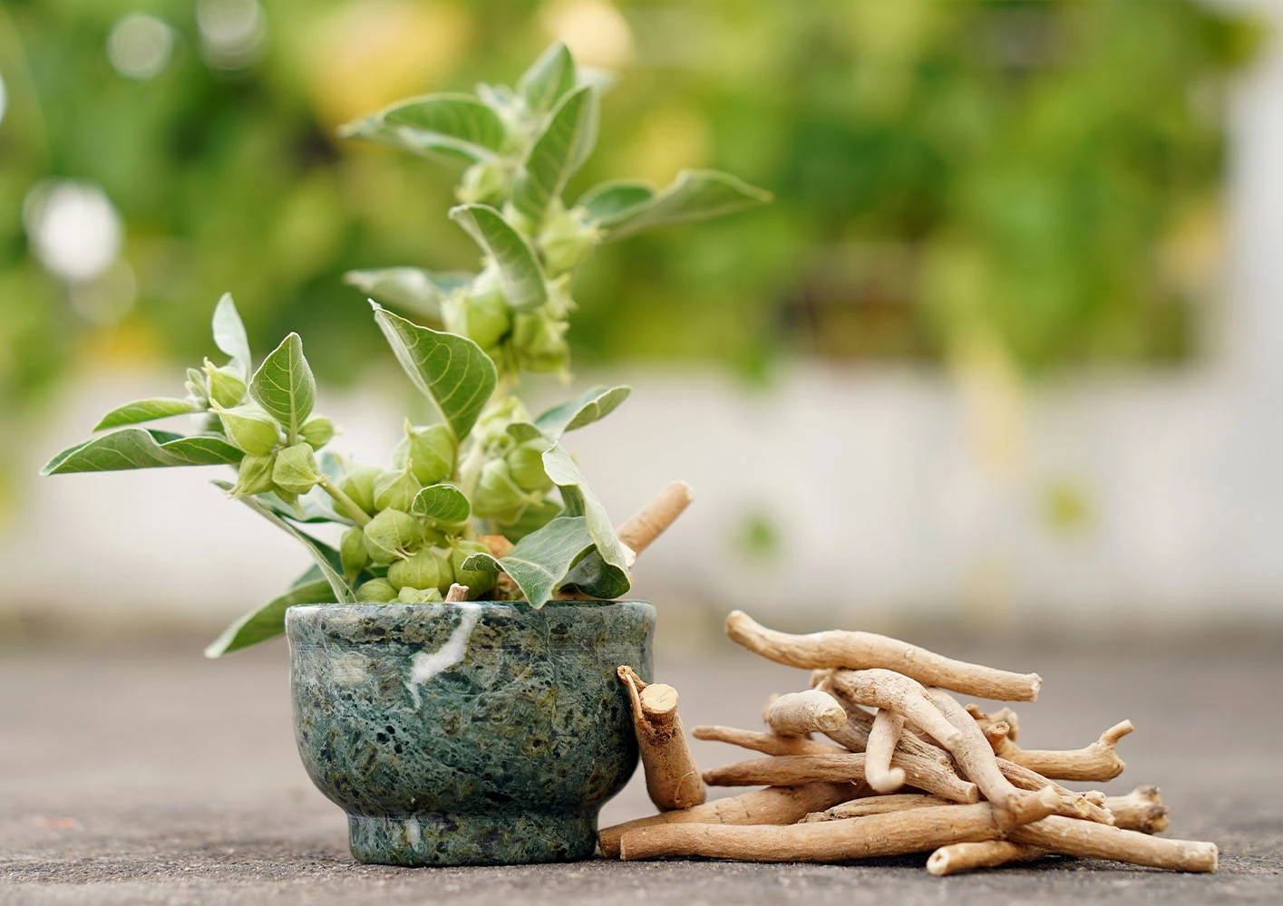 What’s Ashwagandha & What’s it Good for?